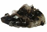 Dark Smoky Quartz Crystal Cluster - Brazil #138469-1